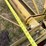 landplane-image-13