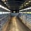 1995-trav-a-long-stock-trailer---ellensburg,-wa-image-23