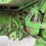 john-deere-3010-image-54