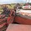 freeman-330-image-24