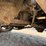 2007-chevrolet-trailblazer-image-11