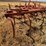 allis-chalmer-800-chisel-plow-image-21