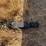 2005-case-ih-2042-image-9