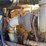 1989-peterbilt-379-image-53