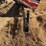 2010-case-ih-2010-image-12