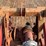 lelyterra-15'-power-harrow-image-19