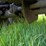 #26282-•-barko-log-picker-trailer-image-34