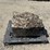 large-crinoid-fossil-rock-from-limestone-quarry-image-7