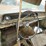 1965-chevrolet-biscayne-4dr-sedan-image-6