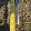 2016-john-deere-6155r-image-11