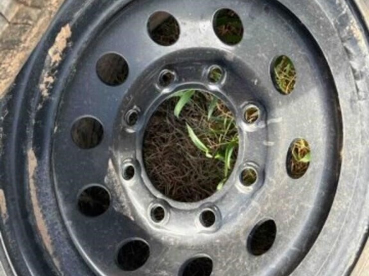 2---provider-tires/wheels-image-5
