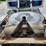 2008-kenworth-t800-image-55