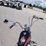 1975-harley-davidson-iron-head-sportster-3a35016h5-image-11