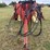 new-holland-216-image-11