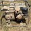 honda-gx240-trash-pump-image-5