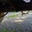 #26283-•-morlift-1000b-log-picker-trailer-image-32