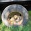 #26282-•-barko-log-picker-trailer-image-35