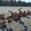 15'-lilliston-rolling-cultivator-toolbar-image-3
