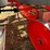 checchi-&-magli-no-till-transplanter-6r-30-image-36