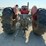 massey-ferguson-85-image-5