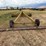 landplane-image-3