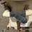 ag-tech-crop-sprayer---hermiston,-or-image-12