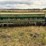 13'-grain-drill-image-4