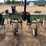 lorenz-row-crop-cultivator-16'-image-10