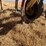 krause-2341-field-cultivator-image-19