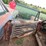 1966-chevrolet-caprice-2dr-ht-image-8