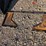 #56-•-weld-on-skid-steer-plate-image-1