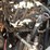 2012-volvo-fc2421c-image-36