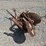 #53139-•-2-bottom-disk-inv#53139-image-4