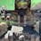 1972-john-deere-4620-image-39