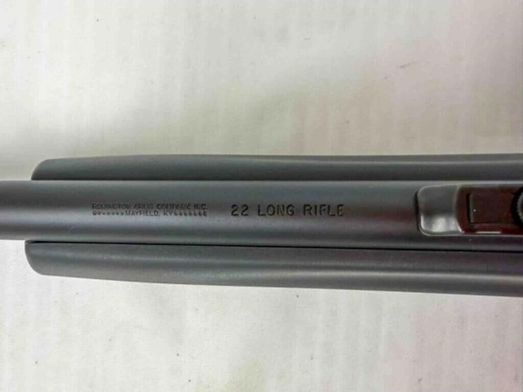 remington-597-22lr-rifle-image-18