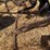 love-rod-weeders-image-21