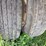 #26279-•-1988-48ft-ravens-trailer-image-27