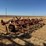 krause-2341-field-cultivator-image-4