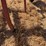 allis-chalmer-800-chisel-plow-image-31