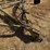 love-rod-weeders-image-9