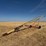westfield-80-51-grain-auger-image-1