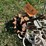 #6282-•-boat-anchors-image-5