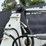 bobcat-e35-image-11