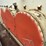 #61451-•-el-jay-inc.-1274-cone-crusher-image-40