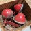 miscellaneous-lights-and-starter-parts-for-h-or-m-image-14