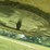 2005-great-dane-28-image-47