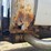 2012-ford-f350-image-21