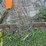 #6279-•-assortment-of-tomato-cages-image-2