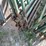 #6229-•-(3)-12'-feeder-gates-image-4