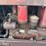 massey-harris-parts-tractor-image-6